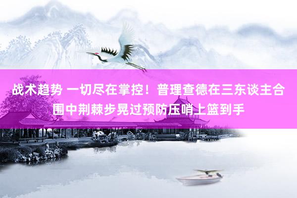 战术趋势 一切尽在掌控！普理查德在三东谈主合围中荆棘步晃过预防压哨上篮到手